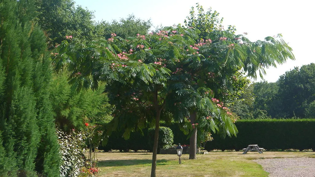 Chambres D'Hotes Les Sageais Baguer-Morvan Bed & Breakfast